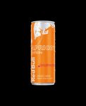 Red Bull Energy Edition APRICOT 24 x 250 ml