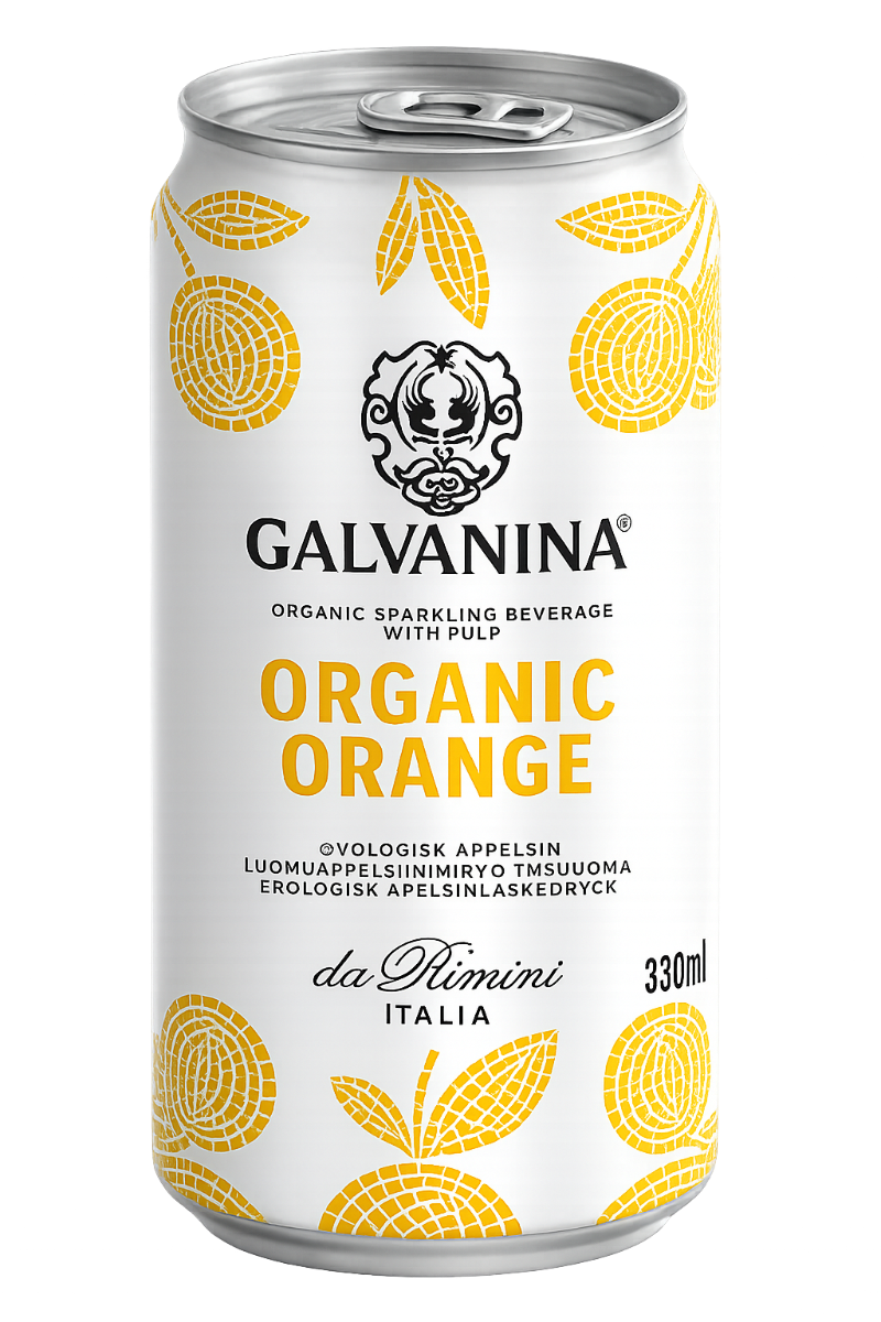 Galvanina boisson petillante bio a l orange 330 ml - 24 x 0,33 L